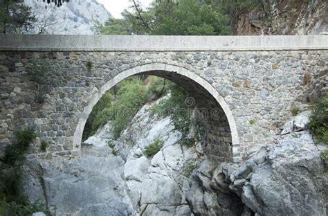 A Ponte Milenar? Uma Reflexão sobre a Transitoriedade e a Beleza da Natureza!